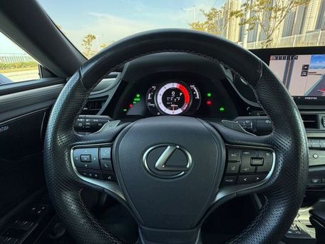 Lexus ES, 2021 — photo 14