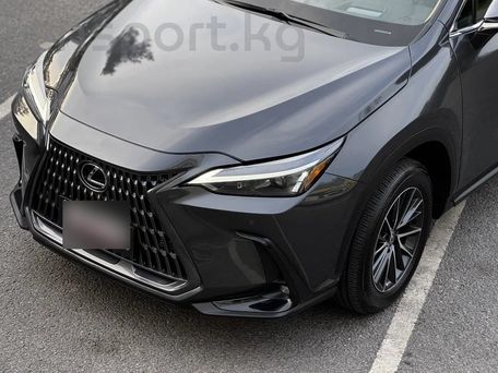 Lexus NX, 2021 — фото 2