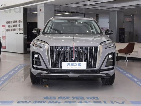 Hongqi E-HS3, 2025 — фото 5