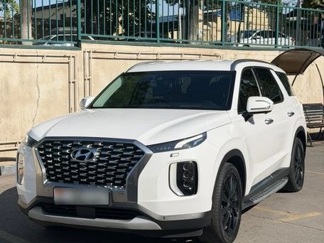 Hyundai Palisade, 2019 — сүрөт 2