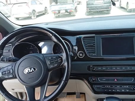 Kia Carnival, 2019 — фото 8