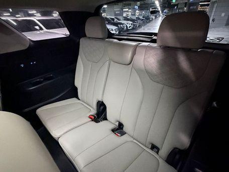 Hyundai Palisade, 2020 — photo 9