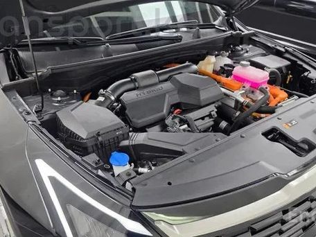 Kia Sportage, 2025 — сүрөт 9