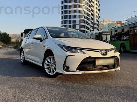 Toyota Corolla, 2020 — 照片 1