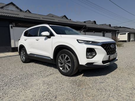 Hyundai Santa Fe, 2019 — фото 11