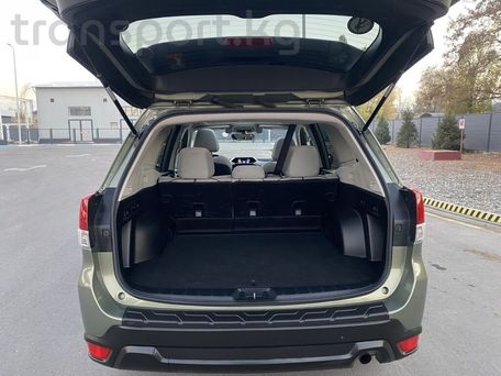 Subaru Forester, 2019 — 照片 3