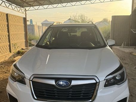 Subaru Forester, 2020 — 照片 3