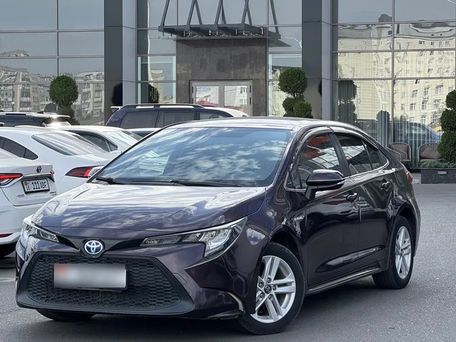 Toyota Levin, 2020 — сүрөт 1