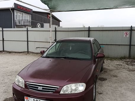 Kia Spectra, 2008 — photo 7