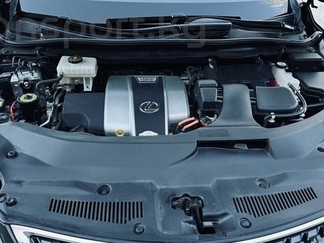 Lexus RX, 2020 — photo 12