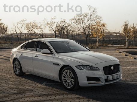 Jaguar XF, 2017 — фото 2