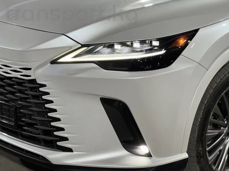 Lexus RX, 2024 — сүрөт 4