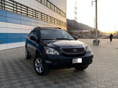Lexus RX, 2003 — 照片 3