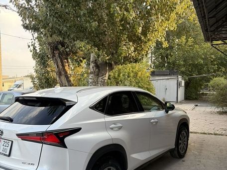 Lexus NX, 2018 — фото 5