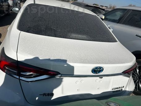 Toyota Corolla, 2023 — 照片 9