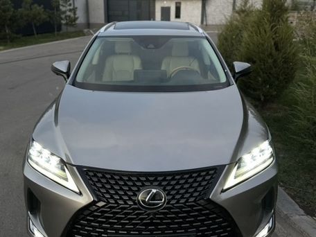 Lexus RX, 2022 — фото 1