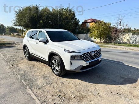 Hyundai Santa Fe, 2021 — сүрөт 2