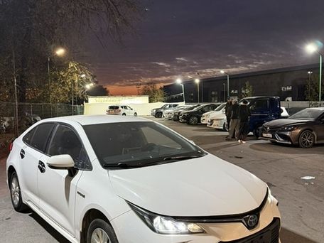 Toyota Corolla, 2019 — фото 1