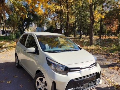 Kia Picanto, 2019 — photo 1