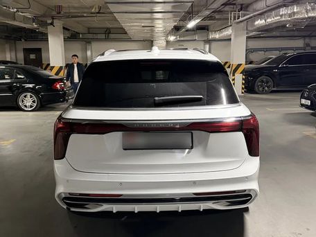 Hongqi E-HS9, 2021 — photo 4