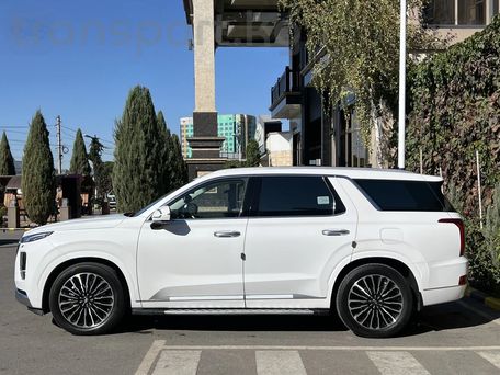 Hyundai Palisade, 2020 — фото 4