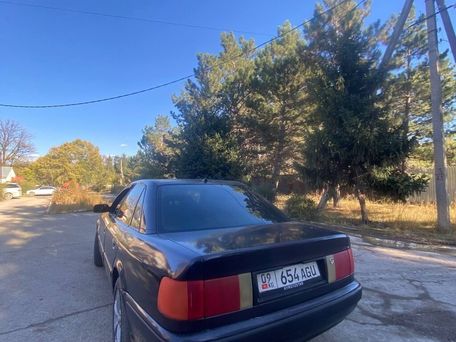 Audi 100, 1994 — сүрөт 4