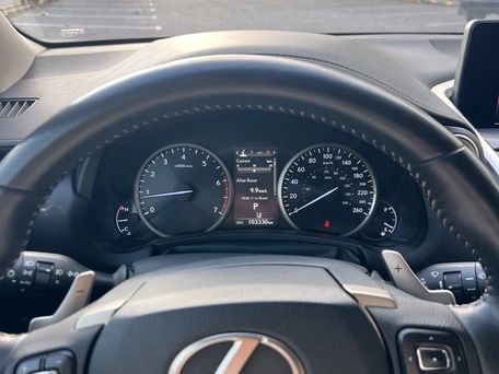 Lexus NX, 2019 — сүрөт 8