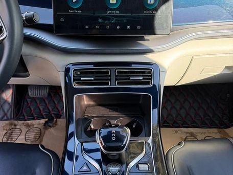 BYD Qin L, 2022 — photo 10