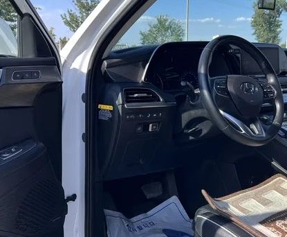 Hyundai Palisade, 2020 — photo 6