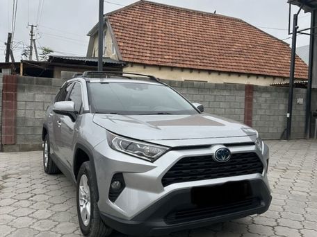Toyota RAV4, 2019 — фото 1