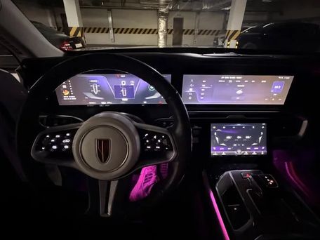 Hongqi E-HS9, 2021 — photo 7
