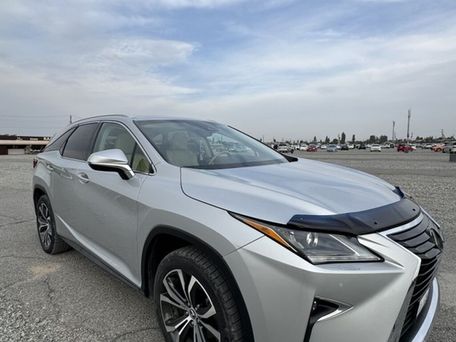 Lexus RX, 2018 — фото 11