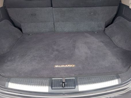 Nissan Murano, 2009 — photo 6