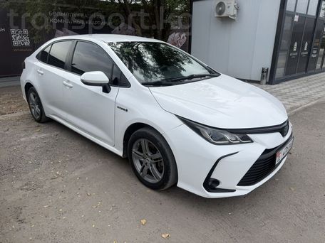 Toyota Corolla, 2019 — фото 1