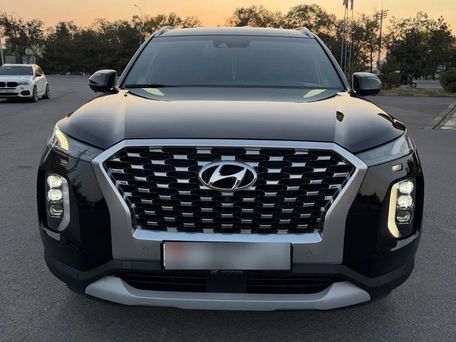 Hyundai Palisade, 2020 — сүрөт 1