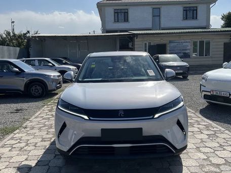 BYD Yuan Up, 2026