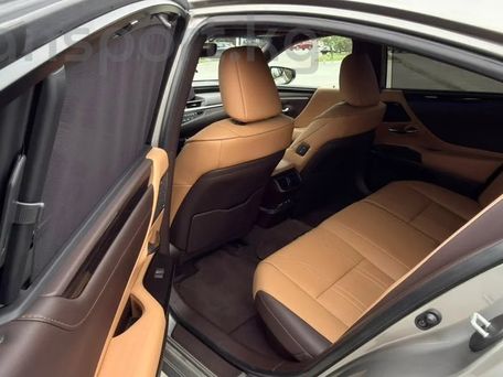 Lexus ES, 2021 — сүрөт 10