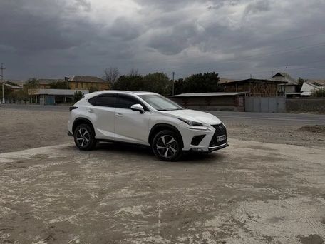 Lexus NX, 2021 — фото 2