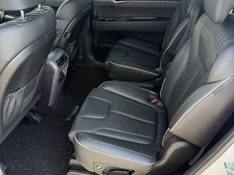 Hyundai Palisade, 2023 — photo 14
