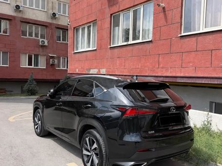 Lexus NX, 2019 — сүрөт 3