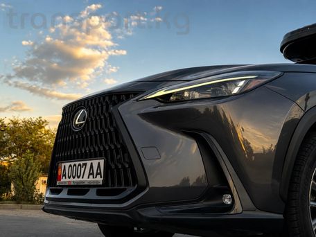 Lexus NX, 2023 — фото 8