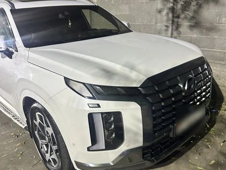 Hyundai Palisade, 2021 — photo 5