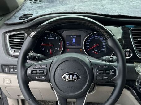 Kia Carnival, 2019 — фото 8