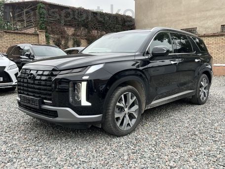 Hyundai Palisade, 2019 — фото 2