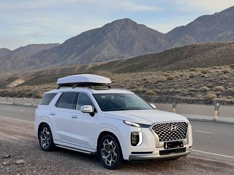 Hyundai Palisade, 2022 — photo 2