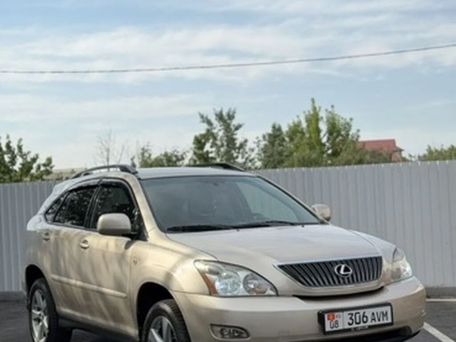 Lexus RX, 2003 — photo 8