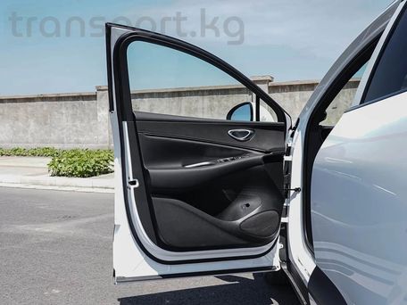 BYD Sea Lion 06, 2026 — photo 10