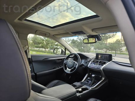 Lexus NX, 2017 — сүрөт 11