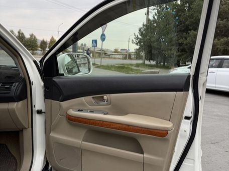 Lexus RX, 2008 — 照片 11
