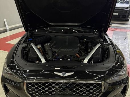 Hyundai Genesis, 2019 — photo 6